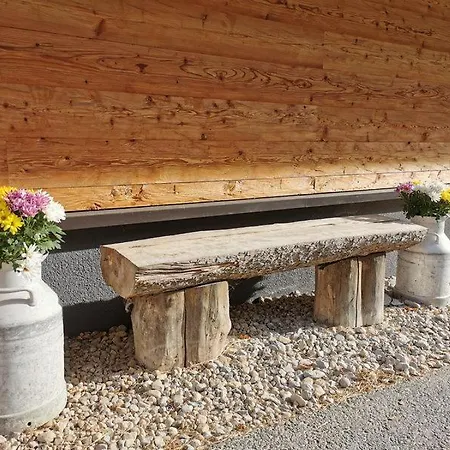 Brücklerhof Haus im Ennstal