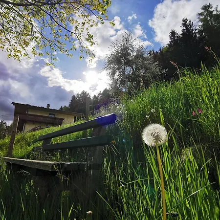 Apartament Bruecklerhof *