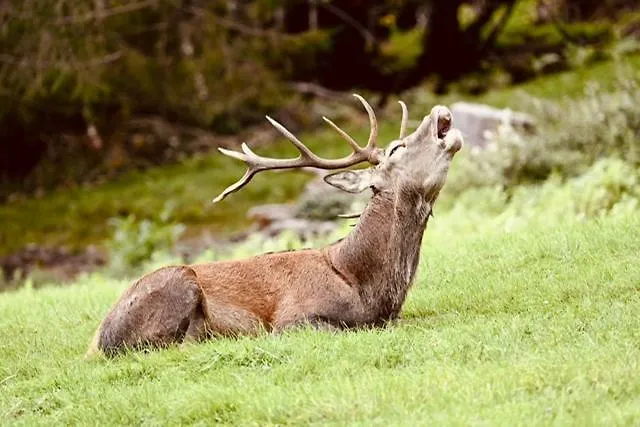 Bruecklerhof האוס